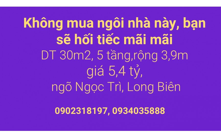 Không mua ngôi nhà này, bạn sẽ hối tiếc mãi mãi